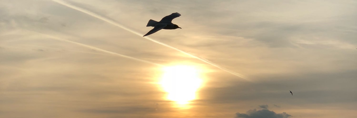 uksawafa's profile banner image