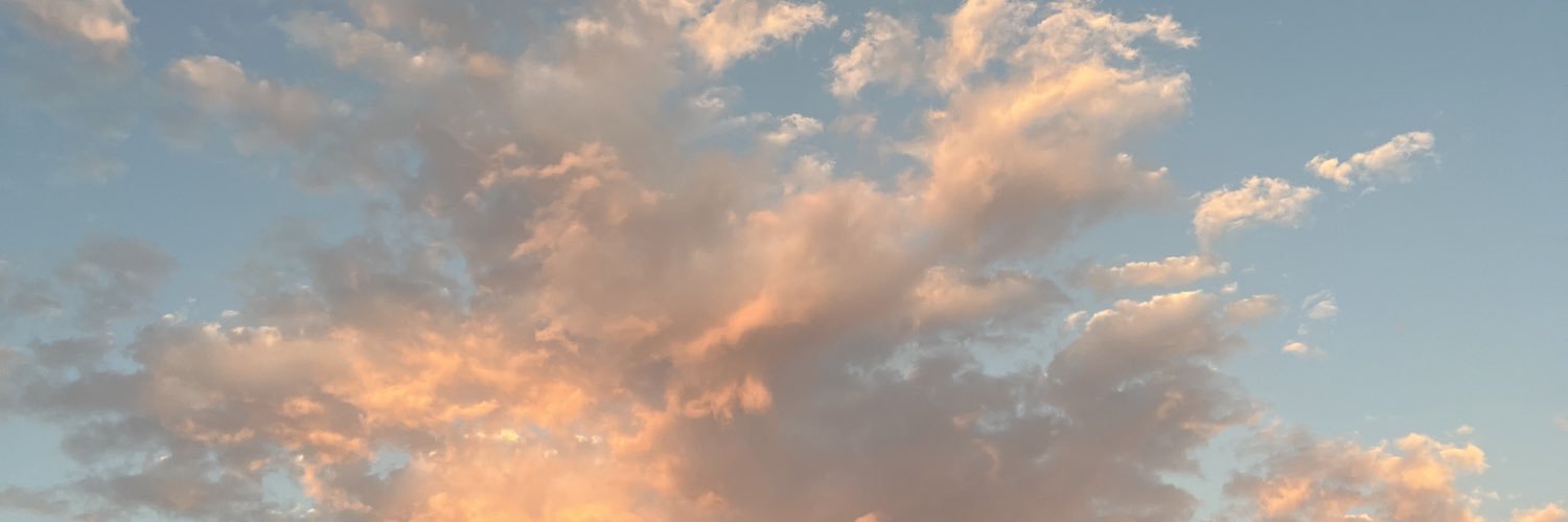 SapirBerns's profile banner image