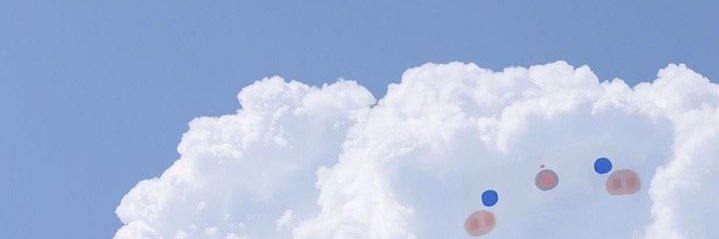 appaaliyah's profile banner image