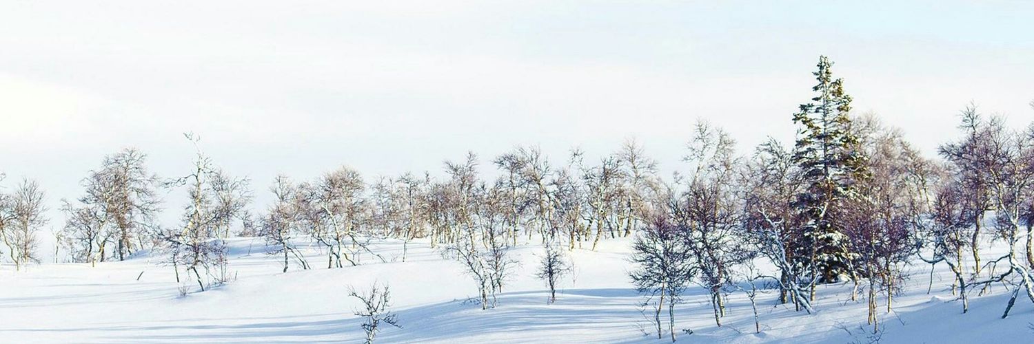 babeosw's profile banner image
