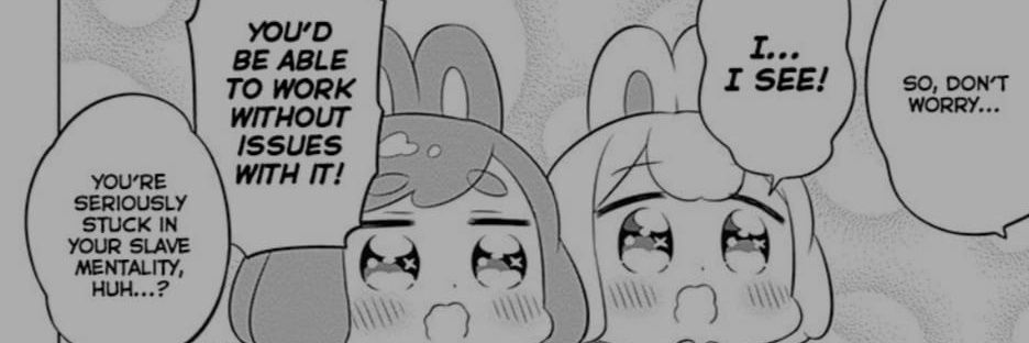 sunrisesnowman_'s profile banner image