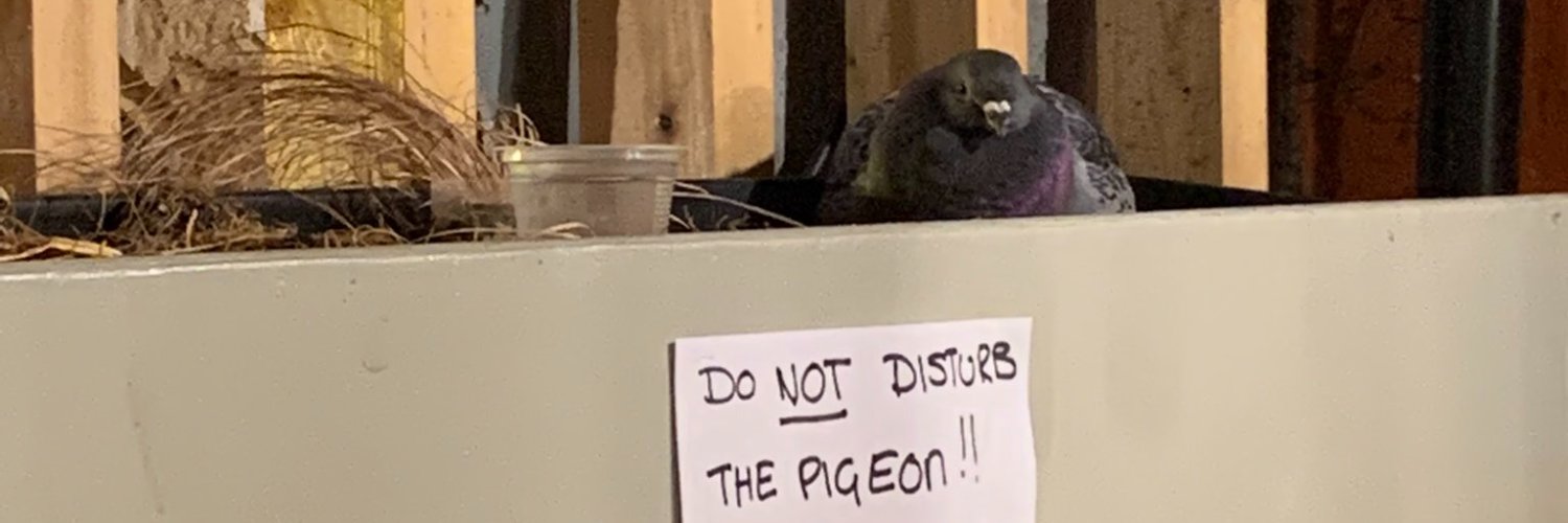 pigeonista's profile banner image
