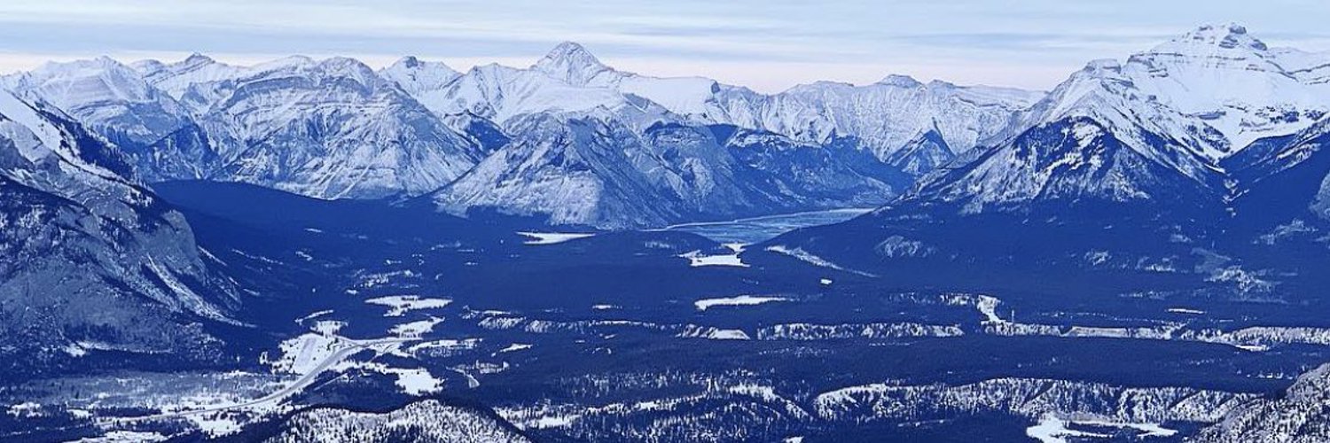 Caitlin McCabe banner