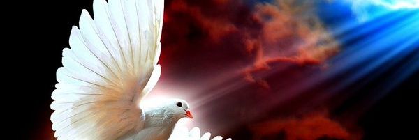 Brenda Ann Ludwig banner