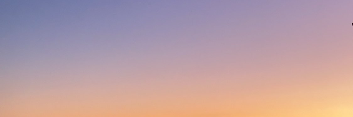 MollyJovic1's profile banner image