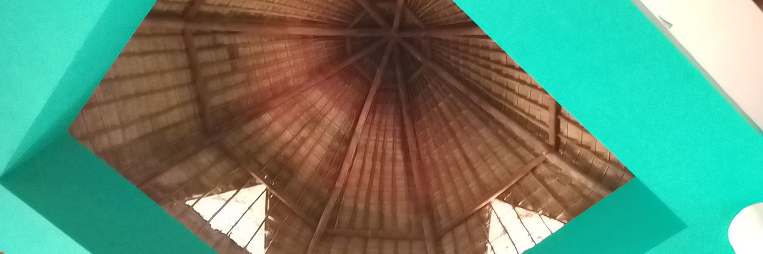aurqrua's profile banner image