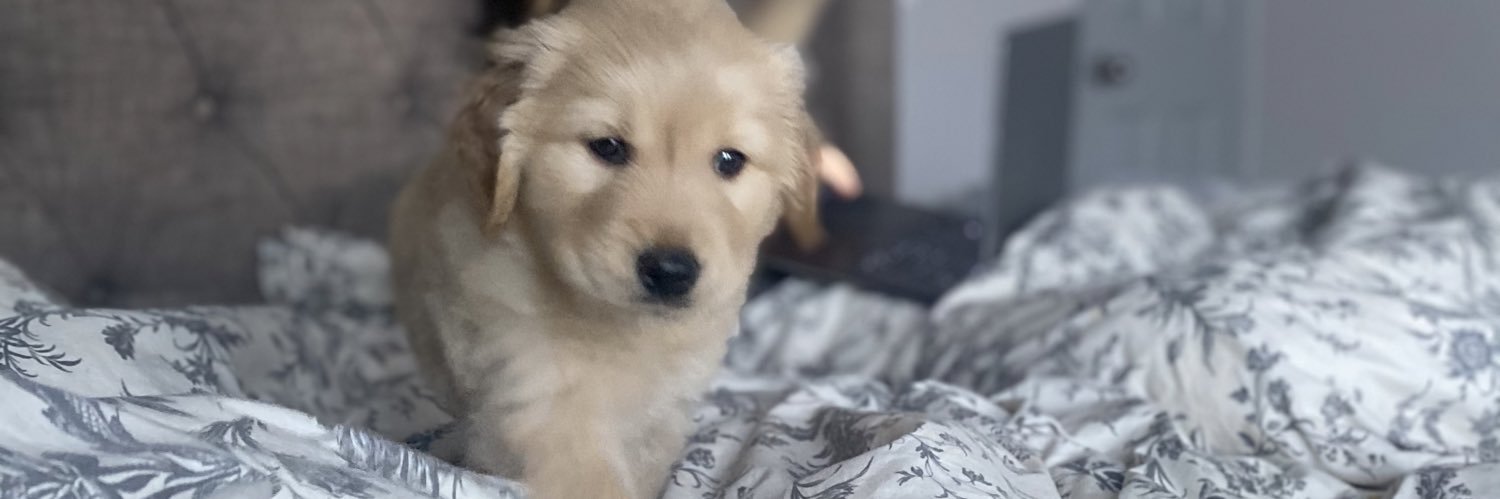 ryleighlynae's profile banner image