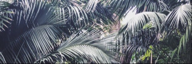 rxechel's profile banner image