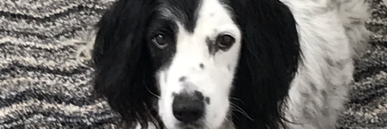 MikeBonewell's profile banner image
