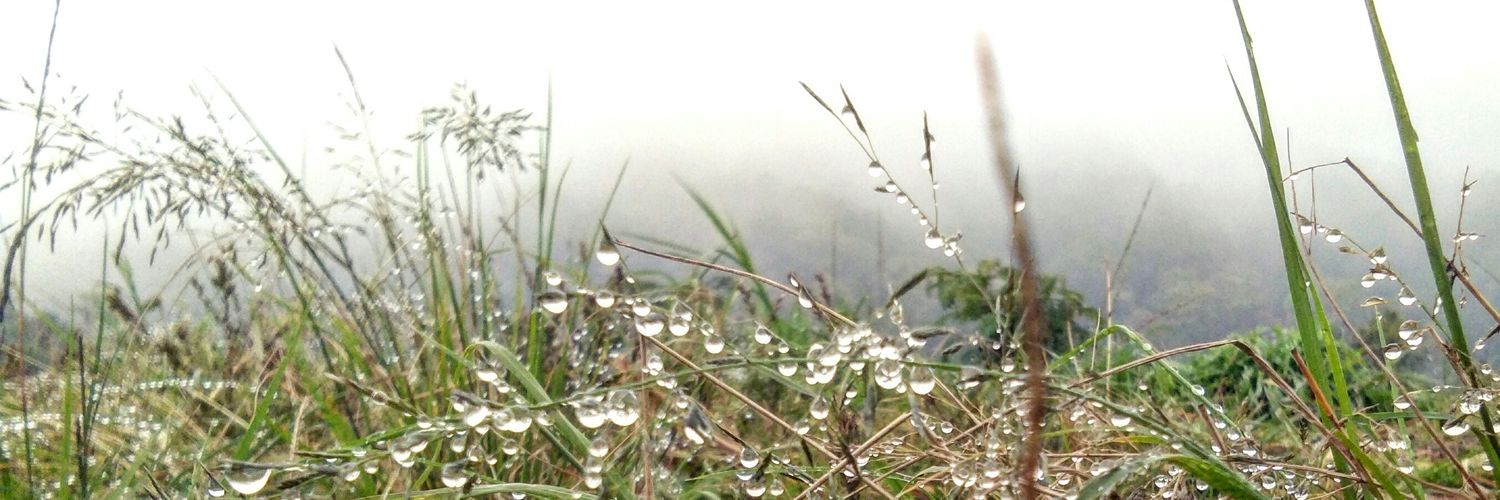 ResmithaDeviN banner