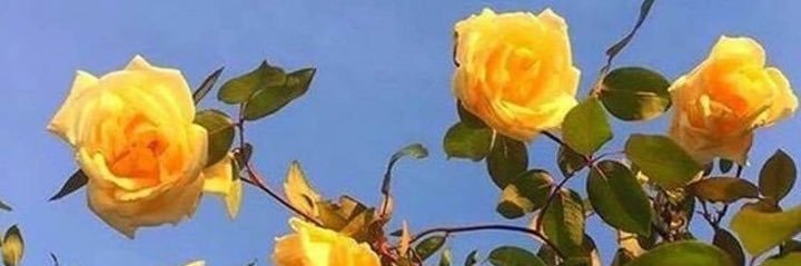 _brendaaa21's profile banner image