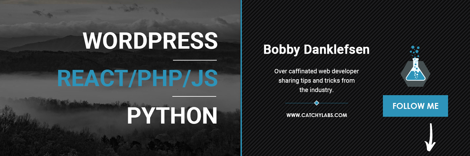 Bobby Danklefsen - Catchy Labs 👨‍💻✍️ banner