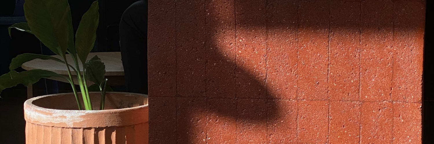 anemonemonemone banner