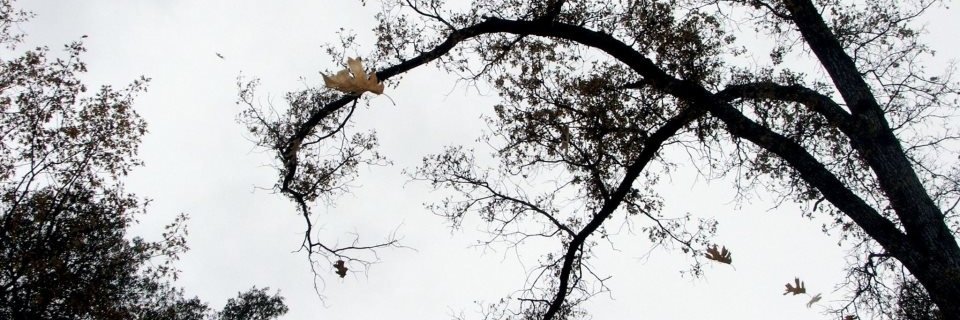_cmontgomery's profile banner image
