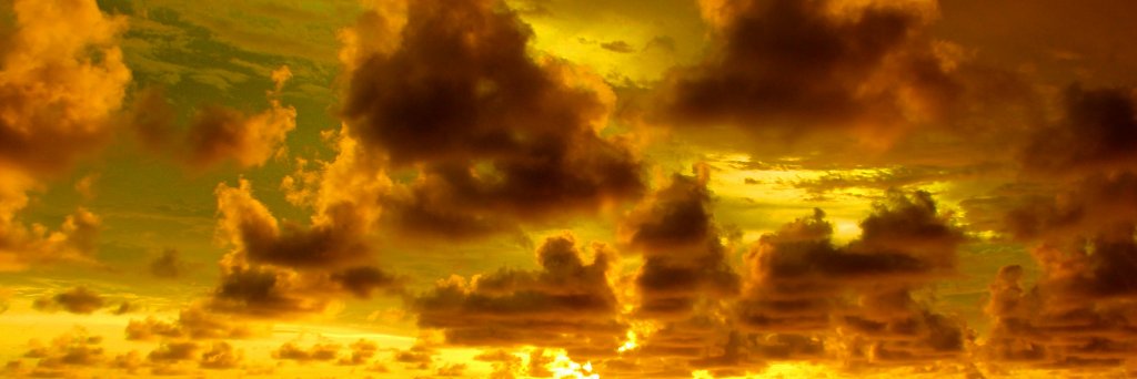 Whitaputri's profile banner image