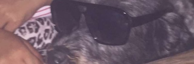 satan2er's profile banner image