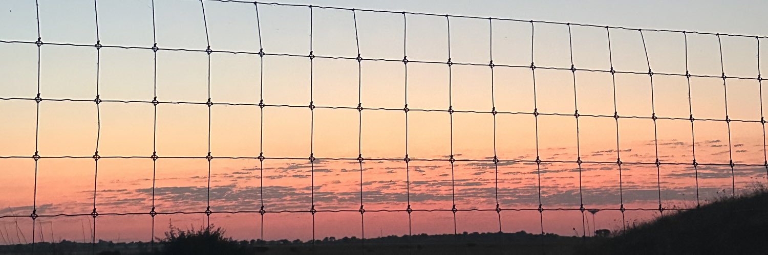cmanchadof's profile banner image