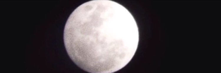 shaibbyjen's profile banner image