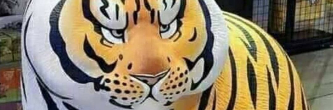 dickywepe's profile banner image