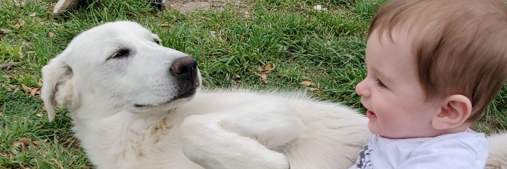 AddieWoychesin's profile banner image
