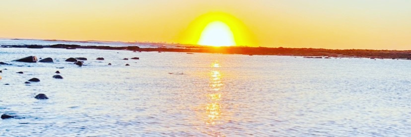 zizipho's banner
