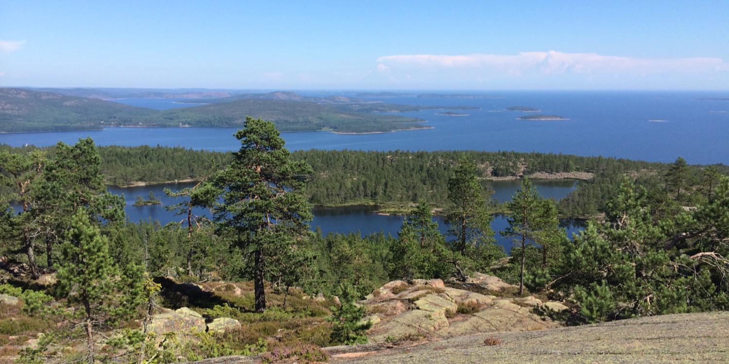 Tomas Stenarson banner