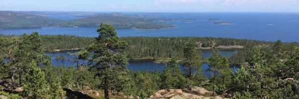 tomst Profile Banner