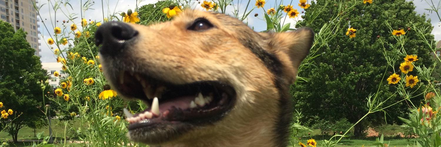gioootorres's profile banner image
