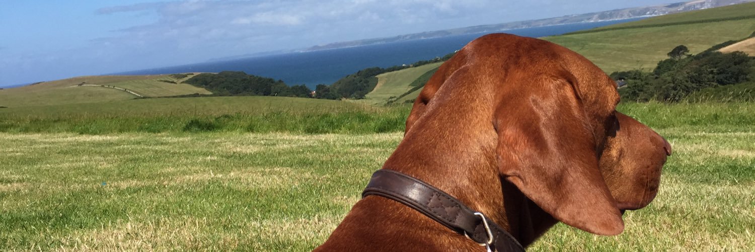 WillsPT's profile banner image