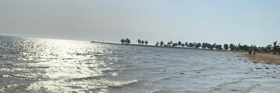 khadiga141's profile banner image