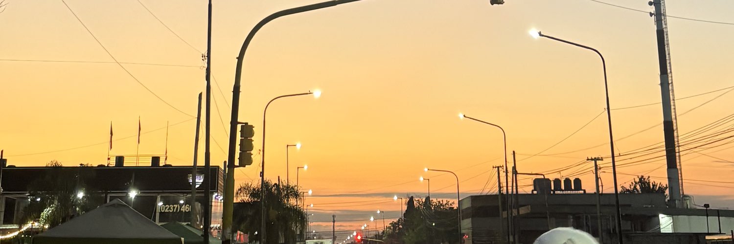 sofiacamino__'s profile banner image