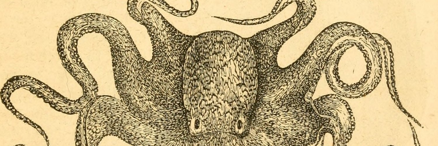 DerrickEWood's profile banner image