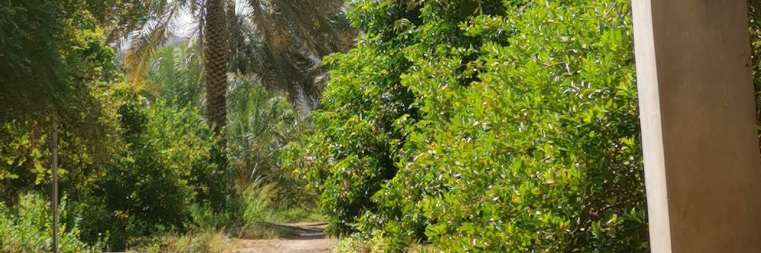 nasserh808's profile banner image