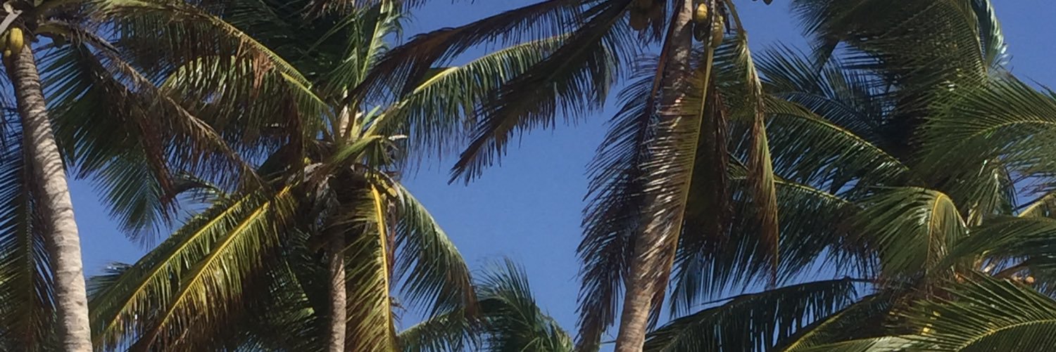erin_mcinally99's profile banner image