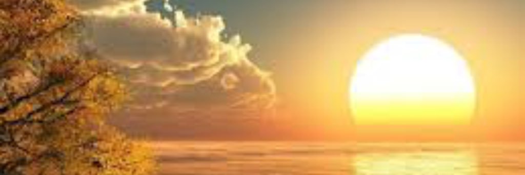ابوفيصل banner