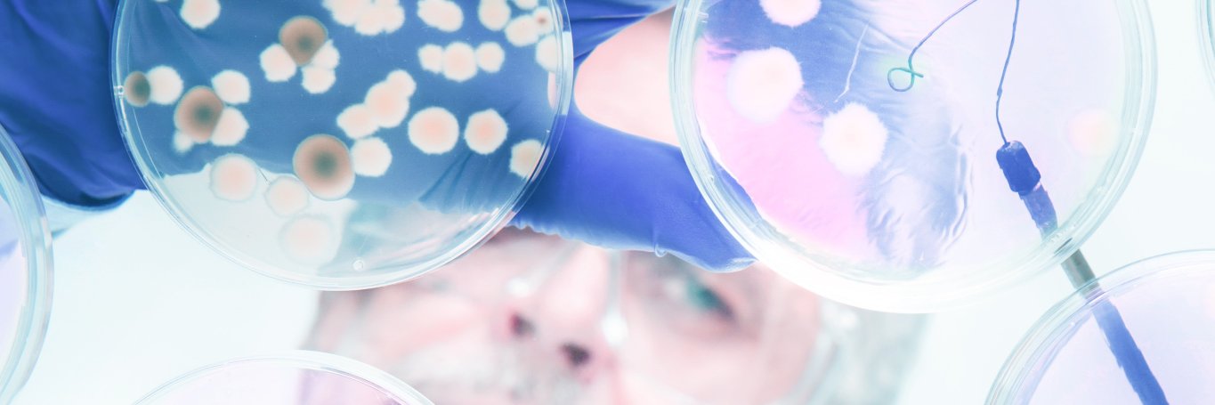 LifeCleanAB's profile banner image