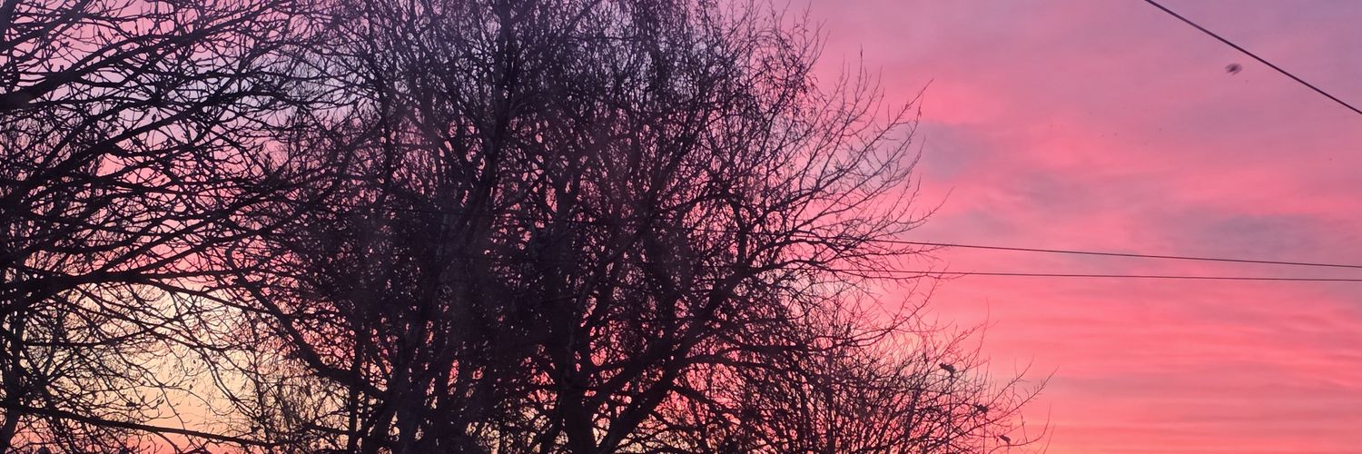 SirTreggy's profile banner image