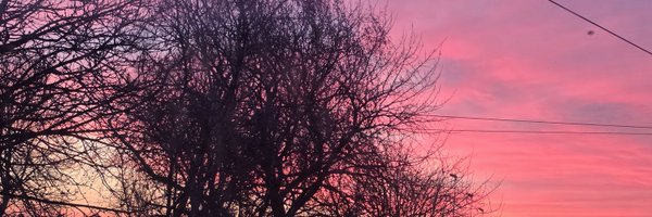 SirTreggy Profile Banner