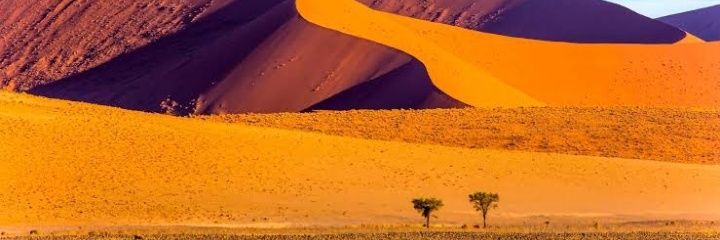 waltsnyahu's profile banner image