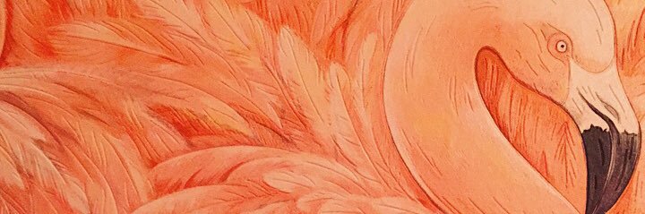 morganpwalker's profile banner image