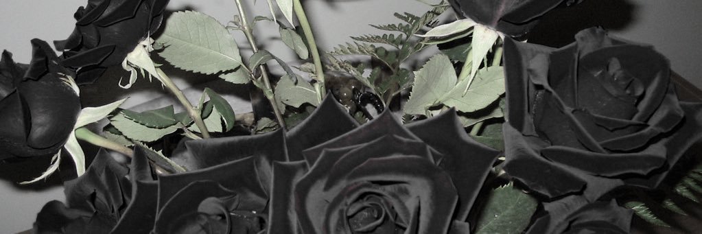 MaygenNacole's profile banner image