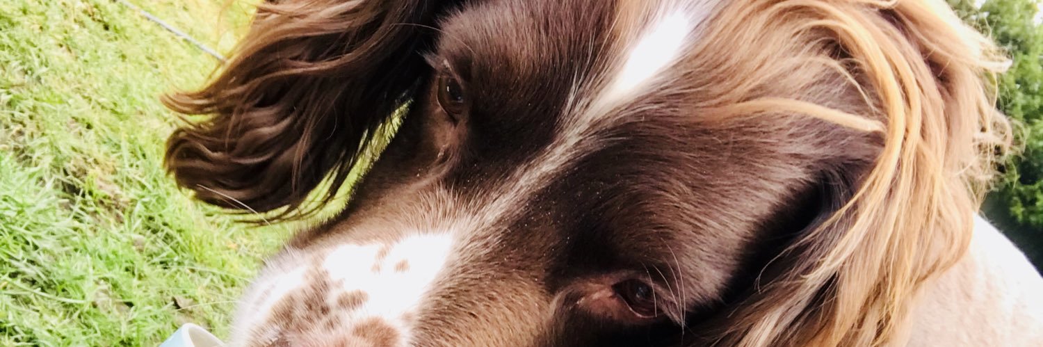nannabrookes's profile banner image