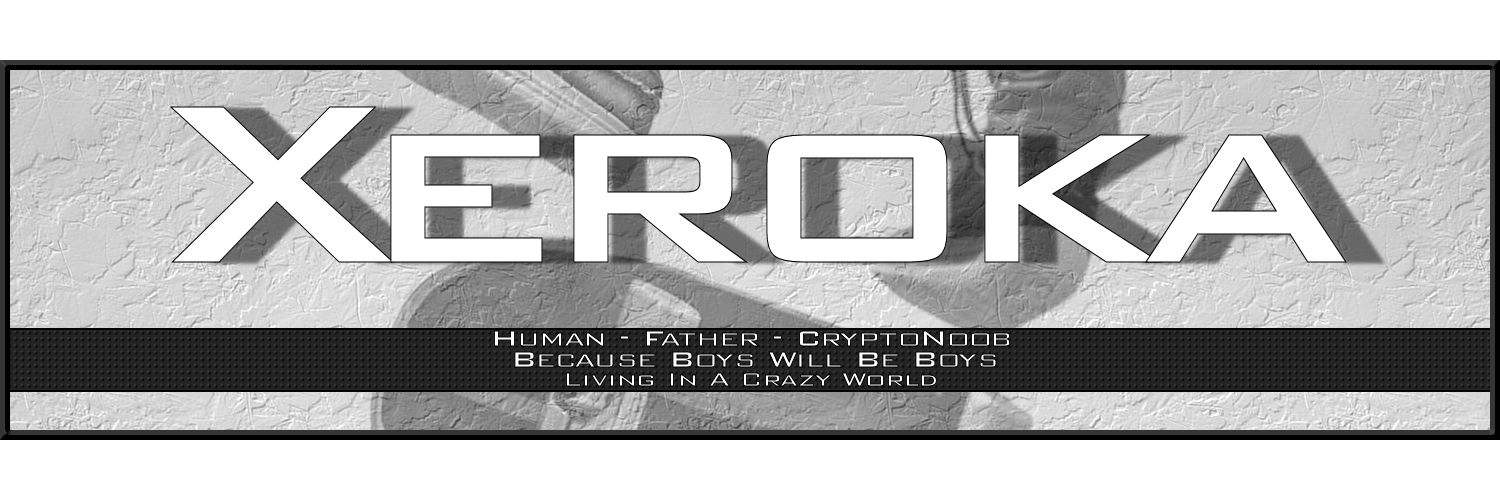 Xer0ka's profile banner image