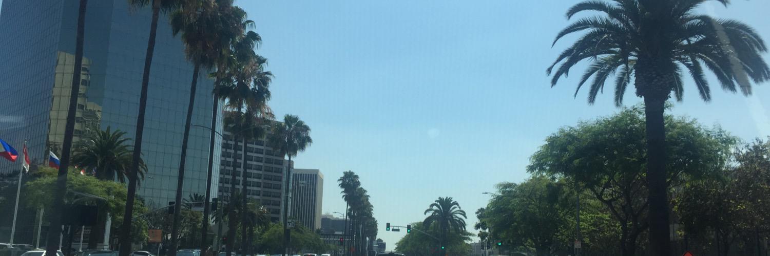 DonOsowavy's profile banner image