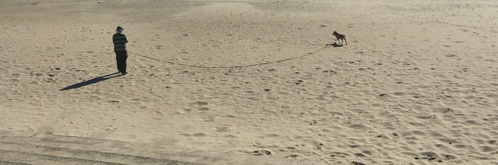 おおつ banner