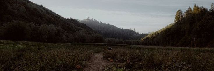 CalenOsborne's profile banner image