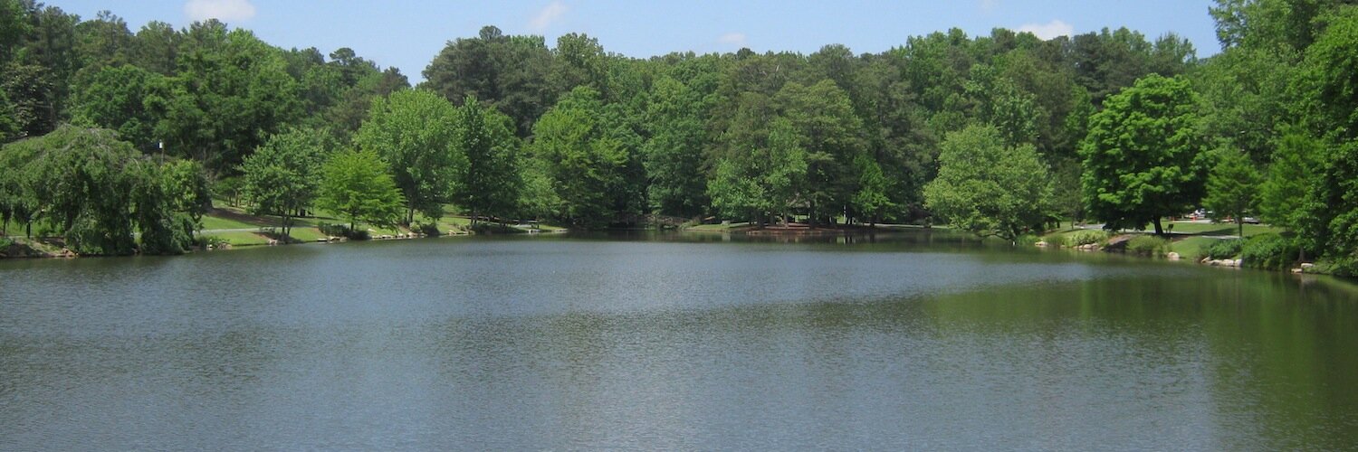 debhammacher's profile banner image