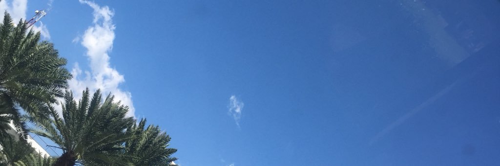 pattyradovan's profile banner image