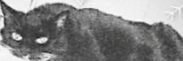 ashleylamb68's profile banner image