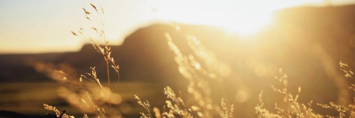 summer_lemley's profile banner image
